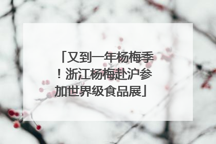又到一年杨梅季！浙江杨梅赴沪参加世界级食品展